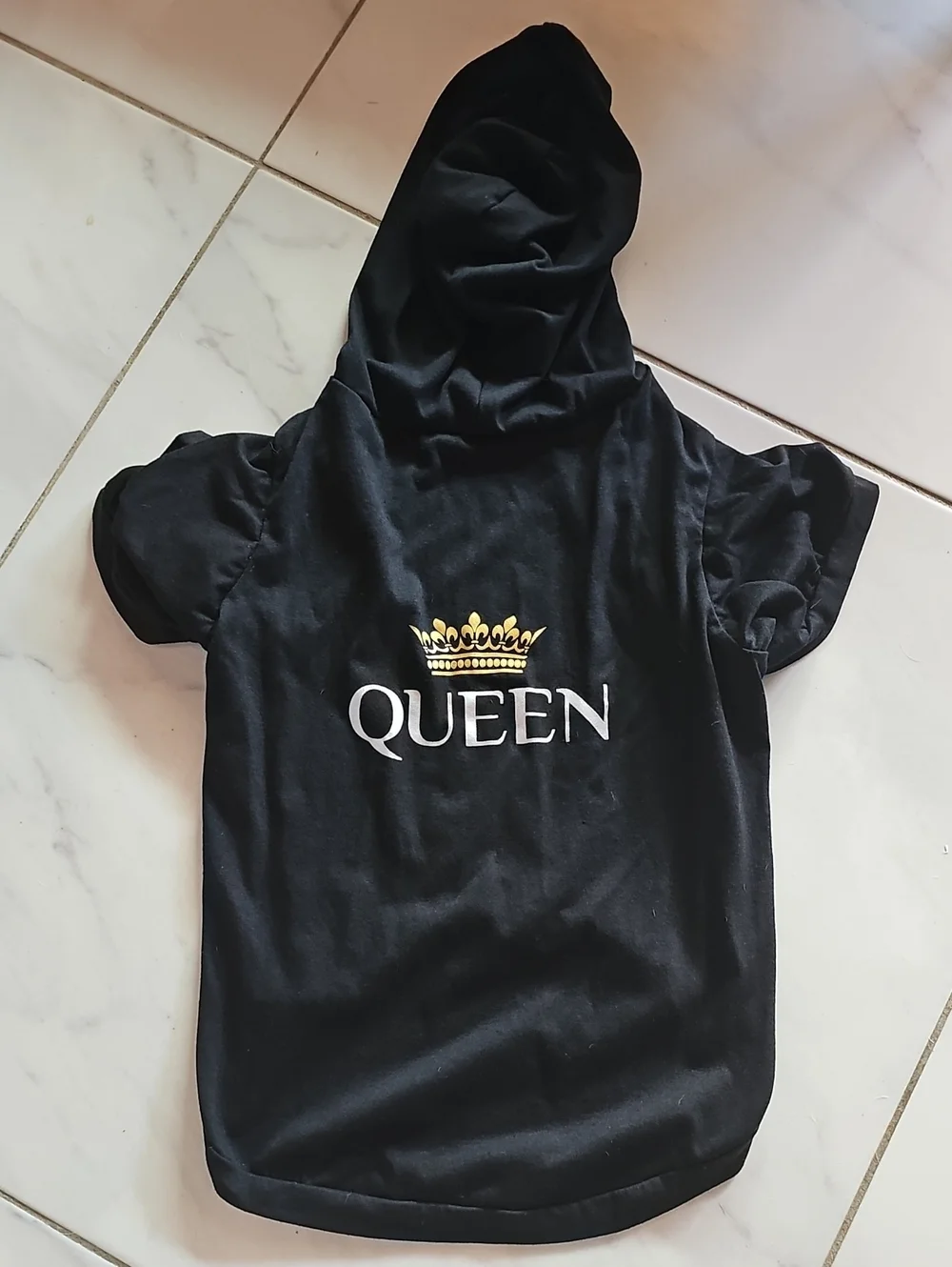 Queen DoggyTop